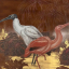 Gaston SUISSE (1896-1988) - Ibis sacré du Nil à tête noire et ibis rose. 1935.